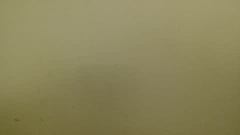 Just marlon online show from January 17, 2:39 am