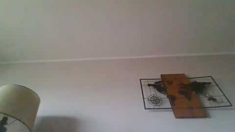 Snapshot of kanaletto chatting on February 27, 12:13 pm Mario online show from February 27, 12:13 pm