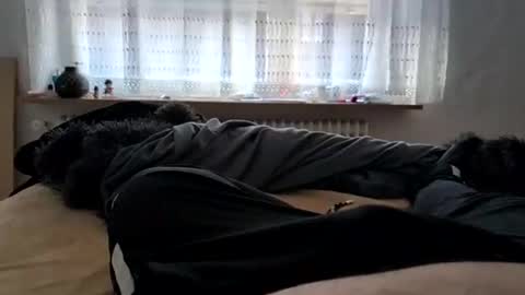 Ask me online show from December 25, 2:13 pm