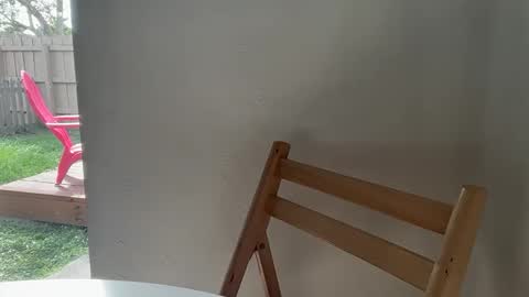 KING online show from November 4, 2:51 pm