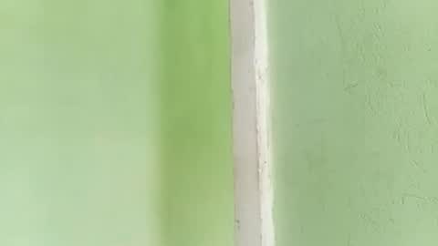 Prince makonnen  online show from November 17, 11:57 am