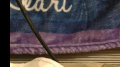 kuntryboyfresh1995 online show from December 19, 12:02 pm