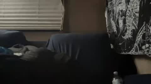 ladysoaker420 online show from October 3, 12:59 am