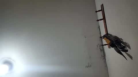 CHARLES ROBERT online show from December 20, 3:30 pm