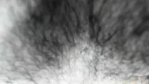 Zeus online show from February 3, 8:08 am