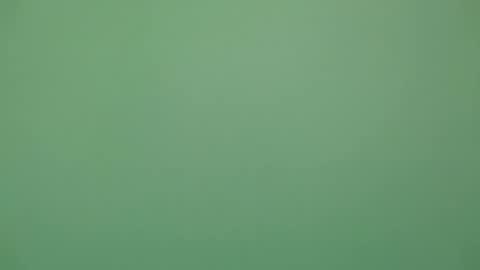 Michel online show from February 4, 6:03 pm