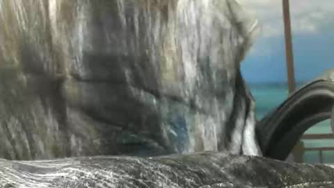 leckfreund53 online show from May 21, 2:43 pm