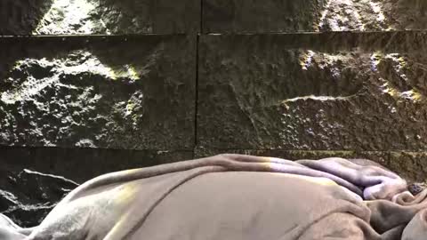 Leo  Diaz online show from November 18, 12:58 am