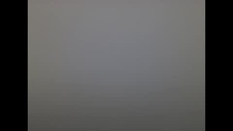 leologan online show from October 26, 2:52 pm