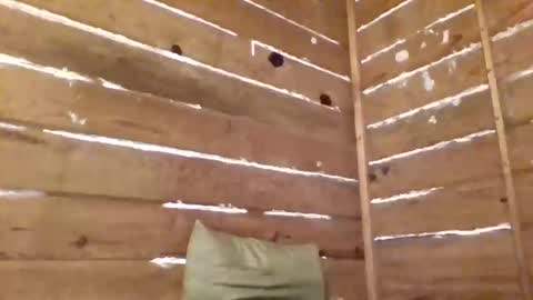 kikaha online show from November 11, 8:52 am