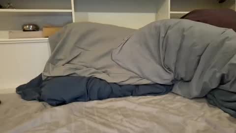 letsgojohnnybd online show from November 5, 12:56 am