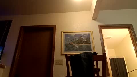 letsplay361 online show from March 3, 5:12 pm