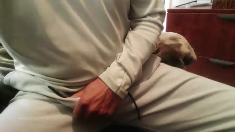 licam online show from December 1, 5:49 pm