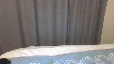 Cookie Monster online show from February 12, 4:40 am