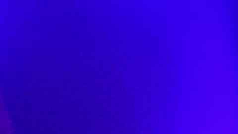 LickYourYoni online show from December 2, 2:17 pm