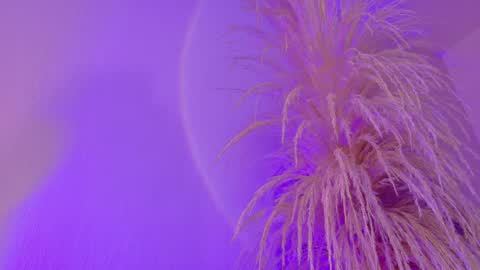 Liiam Luna online show from March 31, 9:11 am