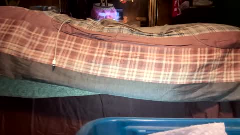 lik682875 online show from November 29, 6:59 am