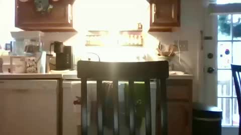 reallyinsecure online show from December 19, 1:41 pm