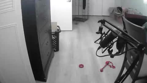 lohangwang69 online show from February 15, 9:45 pm