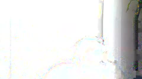 london_man1988 online show from June 8, 11:11 am