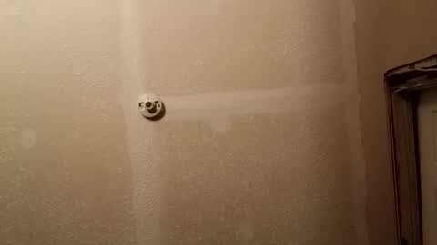 longone2600 online show from February 25, 11:30 am