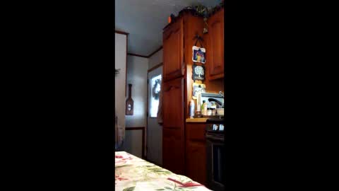 look_at_me_now4 online show from December 16, 4:14 pm