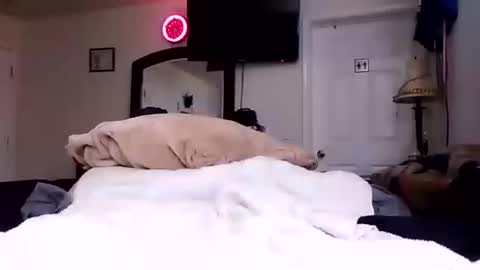 lookatmecum4you online show from October 17, 8:29 am