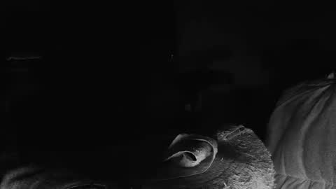 lookingforcougars500 online show from March 10, 1:00 am