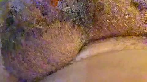 2791 3D online show from February 15, 10:40 pm