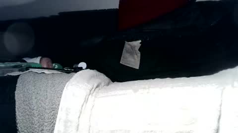 lovetobeused online show from February 6, 5:37 am