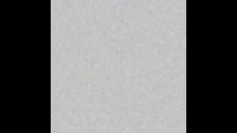   online show from February 19, 11:06 am