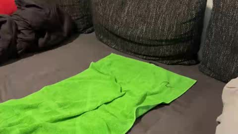 lucas online show from December 28, 1:08 am