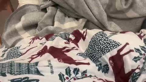 lucca_d123 online show from November 17, 7:22 am