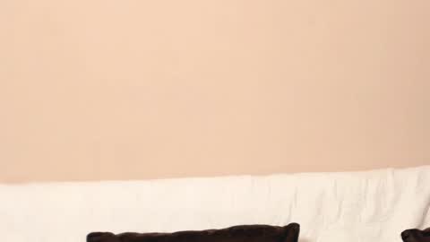 Noor online show from February 14, 5:25 pm