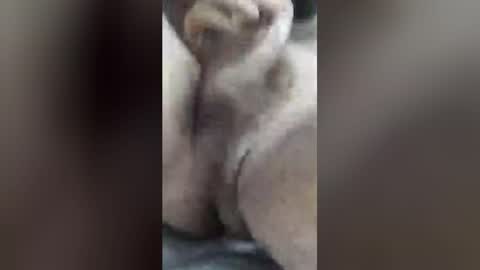luckyfalcon2022 online show from June 30, 5:08 am