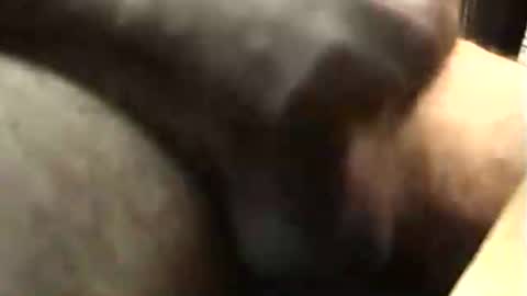 lukestarfckr online show from November 21, 10:36 am