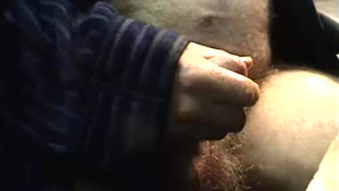 lukestarfckr online show from March 10, 4:18 am