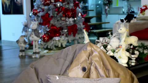 Lukhas f4f online show from January 12, 1:53 am