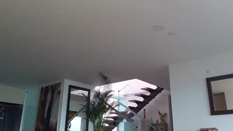 Lukhas f4f online show from February 12, 8:07 pm