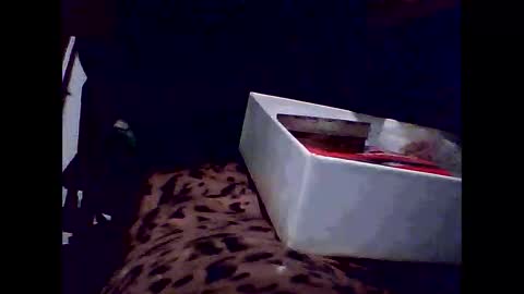 romantic online show from December 16, 12:45 pm