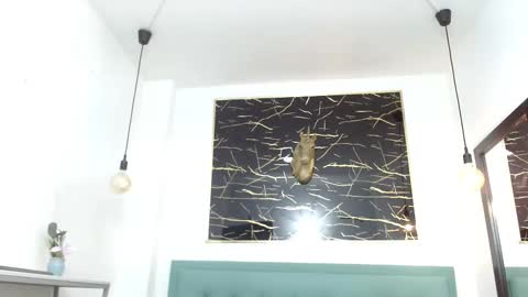 MARCUS  online show from February 2, 11:07 am