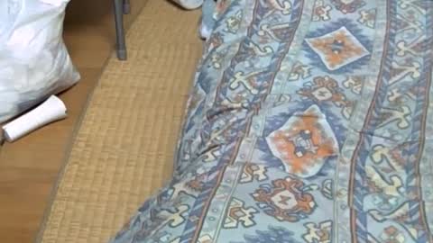 masayann online show from October 20, 12:47 am