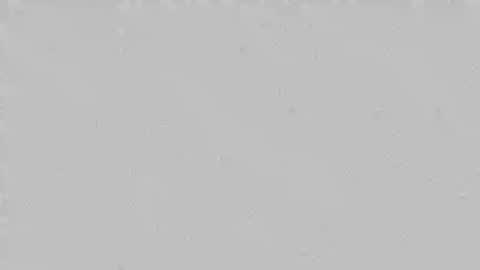 Lucas online show from December 9, 2:56 am