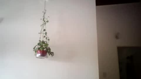 matifolk online show from November 29, 4:53 pm