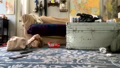 melt13 online show from April 21, 2:45 pm