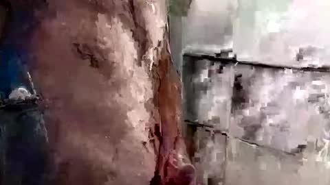 mickavis1975 online show from January 3, 5:31 pm