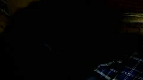 midiin online show from February 18, 6:37 am