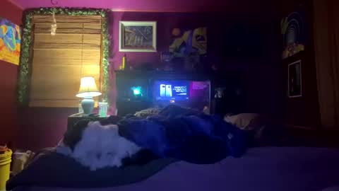 mil8207 online show from December 17, 5:58 am