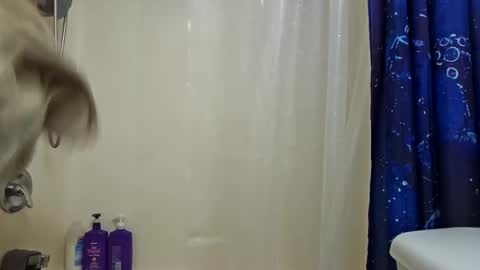 Snapshot of mnathanc chatting on December 20, 4:36 pm mnathanc online show from December 20, 4:36 pm