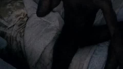 montydxxx2 online show from February 16, 12:36 pm